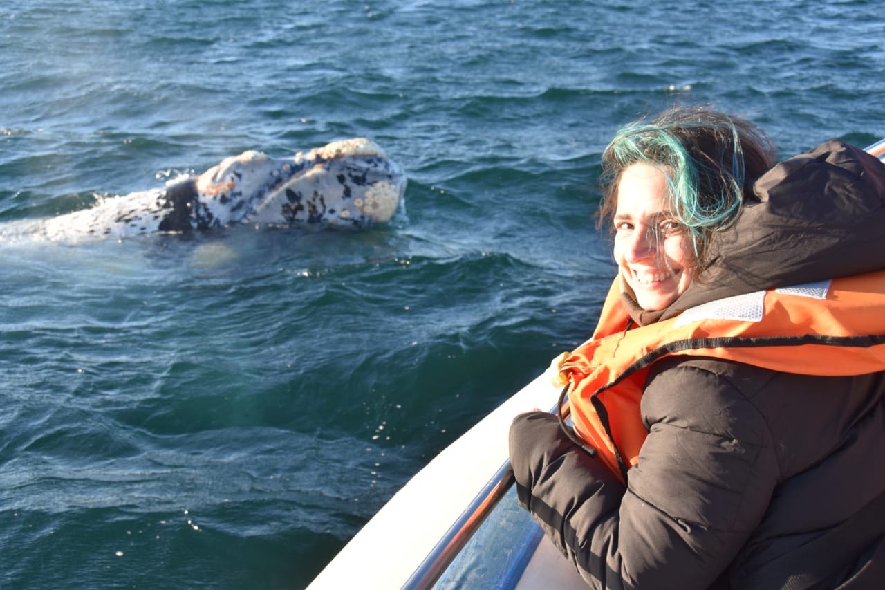 LA PROMOCIÓN TURÍSTICA DE MADRYN DIO SUS RESULTADOS Y SIGUE CRECIENDO EN TODO EL PAIS