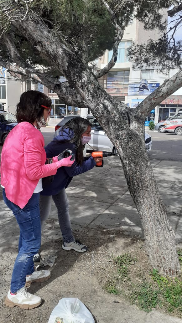 TRATAMIENTO PARA CURAR ÁRBOLES EN LA COSTANERA MADRYNENSE