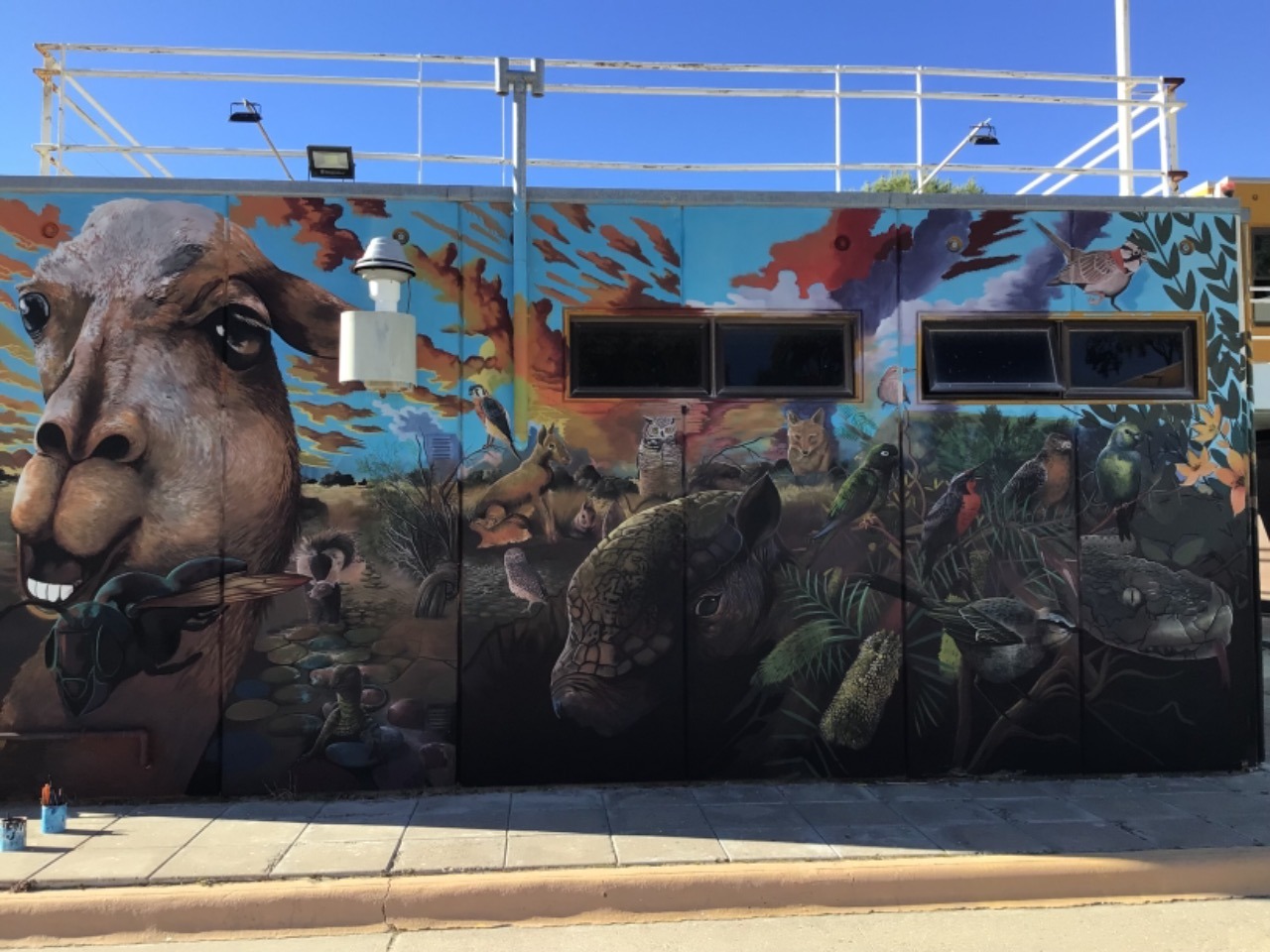 EL CENPAT TENDRÁ NUEVO MURAL CIENTÍFICO