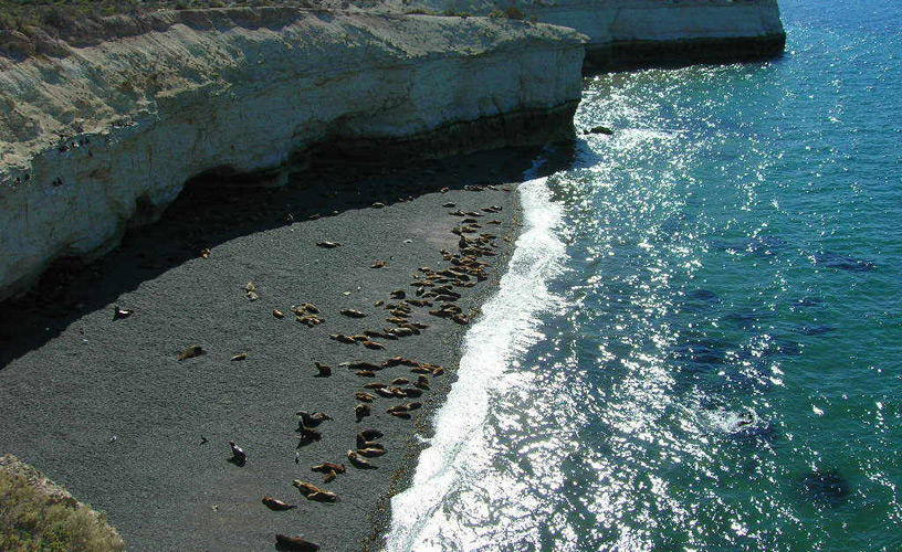Puerto Madryn y Provincia coordinan esfuerzos para preservar el Área Natural Protegida Punta Loma