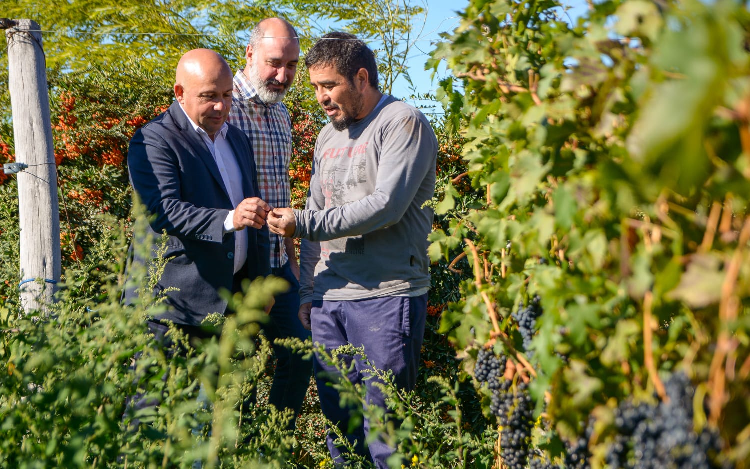 EL INTENDENTE VALORÓ EL CRECIMIENTO DE LA BODEGA “DEL GOLFO” DE PUERTO MADRYN, DONDE ESTE FIN DE SEMANA SE REALIZÓ UNA CAPACITACIÓN