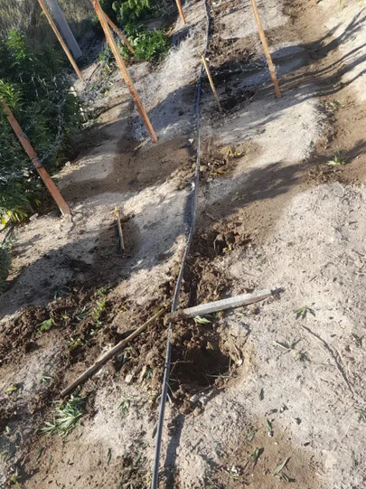 ROBARON 35 PLANTAS DE MARIHUANA DEL CENPAT