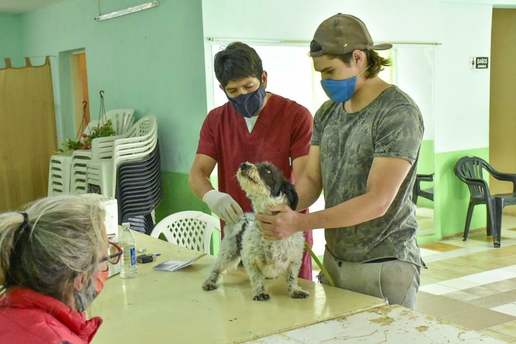 CAMPAÑA DE VACUNACIÓN Y DESPARASITACIÓN PARA MASCOTAS