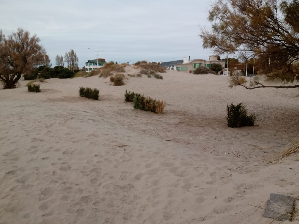 RECUPERACIÓN Y MANEJO DE MÉDANOS COSTEROS: SE CONSTRUYERON LOS PRIMEROS ENQUINCHADOS