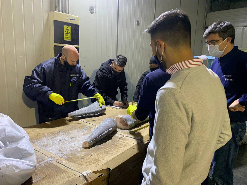 SE DECRETÓ UN SUPLEMENTO SALARIAL DEL 45% AL 65% PARA INSPECTORES E INSPECTORAS DE PESCA NACIONAL