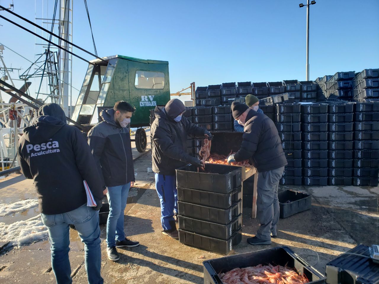 ANUNCIARON LOS BUQUES QUE IRÁN A LA PROSPECCIÓN DE LANGOSTINO