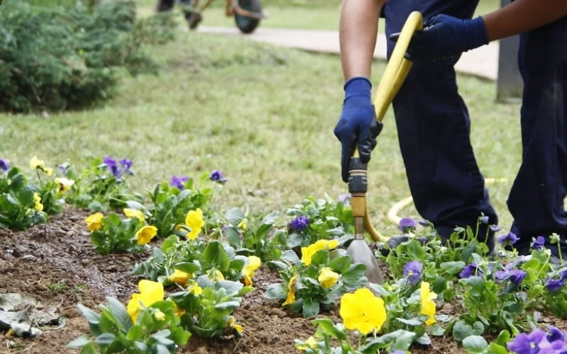 LANZARON CAPACITACIÓN EN JARDINERÍA PROFESIONAL