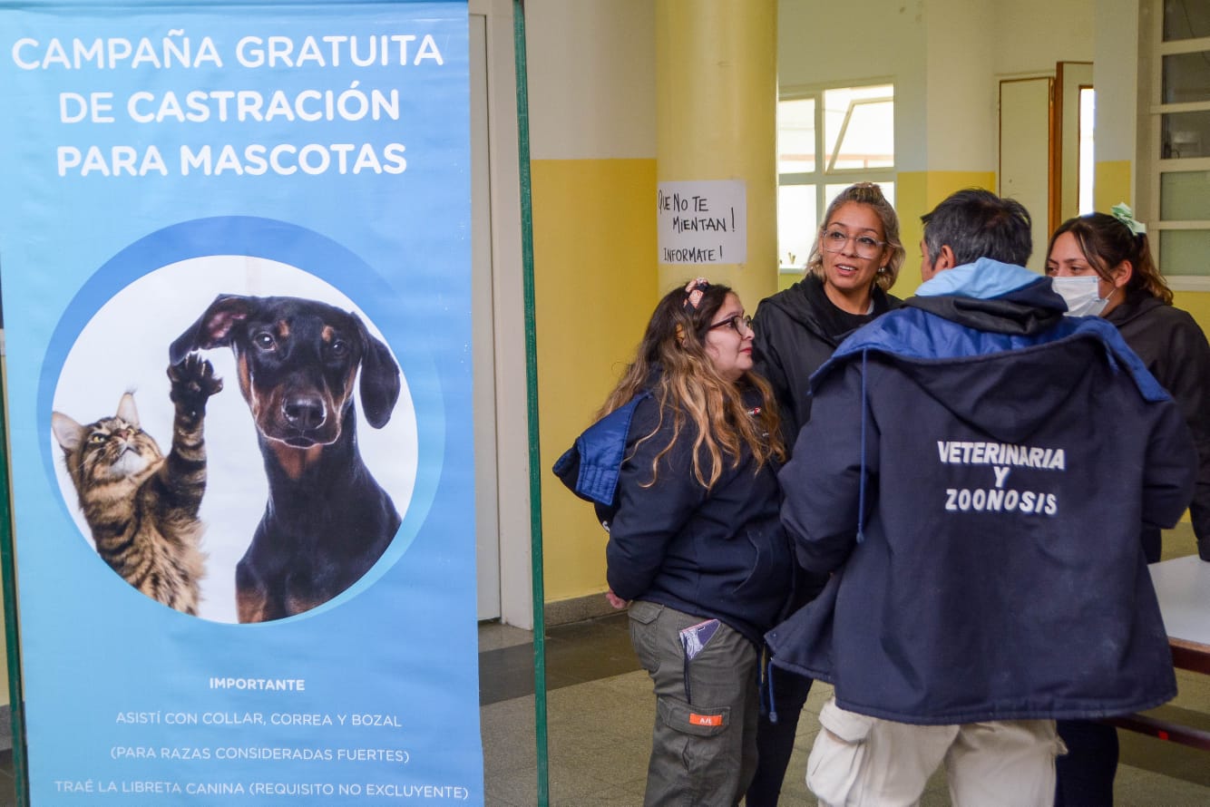 CONTINÚAN LAS CAMPAÑAS GRATUITAS PARA MASCOTAS