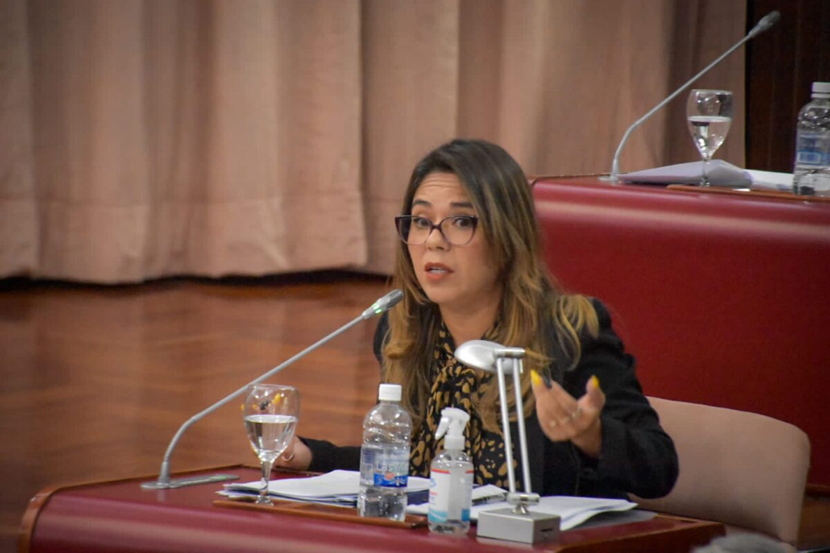 LA DIPUTADA GOIC PRESENTARÁ UN PEDIDO DE INTERPELACIÓN A LA MINISTRA DE EDUCACIÓN