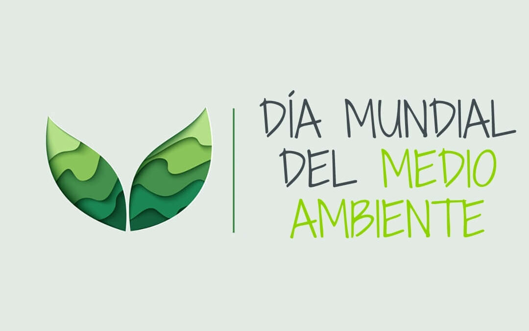 MADRYN SE SUMA A LA CELEBRACIÓN POR EL DÍA MUNDIAL DEL AMBIENTE