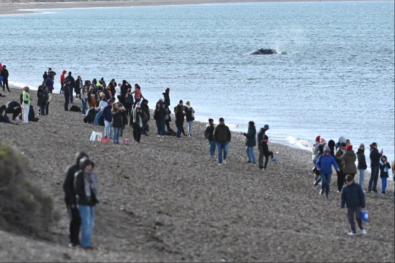VACACIONES DE INVIERNO: MADRYN REGISTRA UN 25% MÁS DE OCUPACIÓN QUE EN 2021