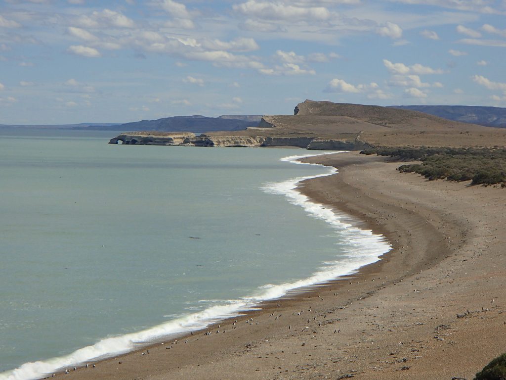 PASADO, PRESENTE Y FUTURO DE LA COSTA PATAGÓNICA