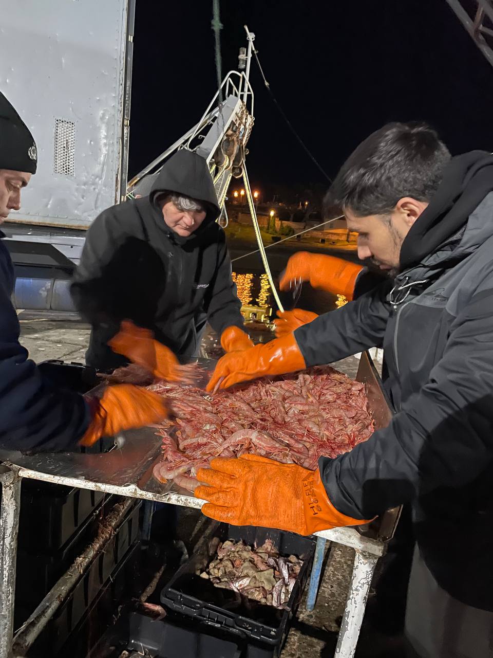 HUBO 30.108 TONELADAS DE DESCARGAS DE LANGOSTINO EN EL PRIMER MES DE LA ZAFRA