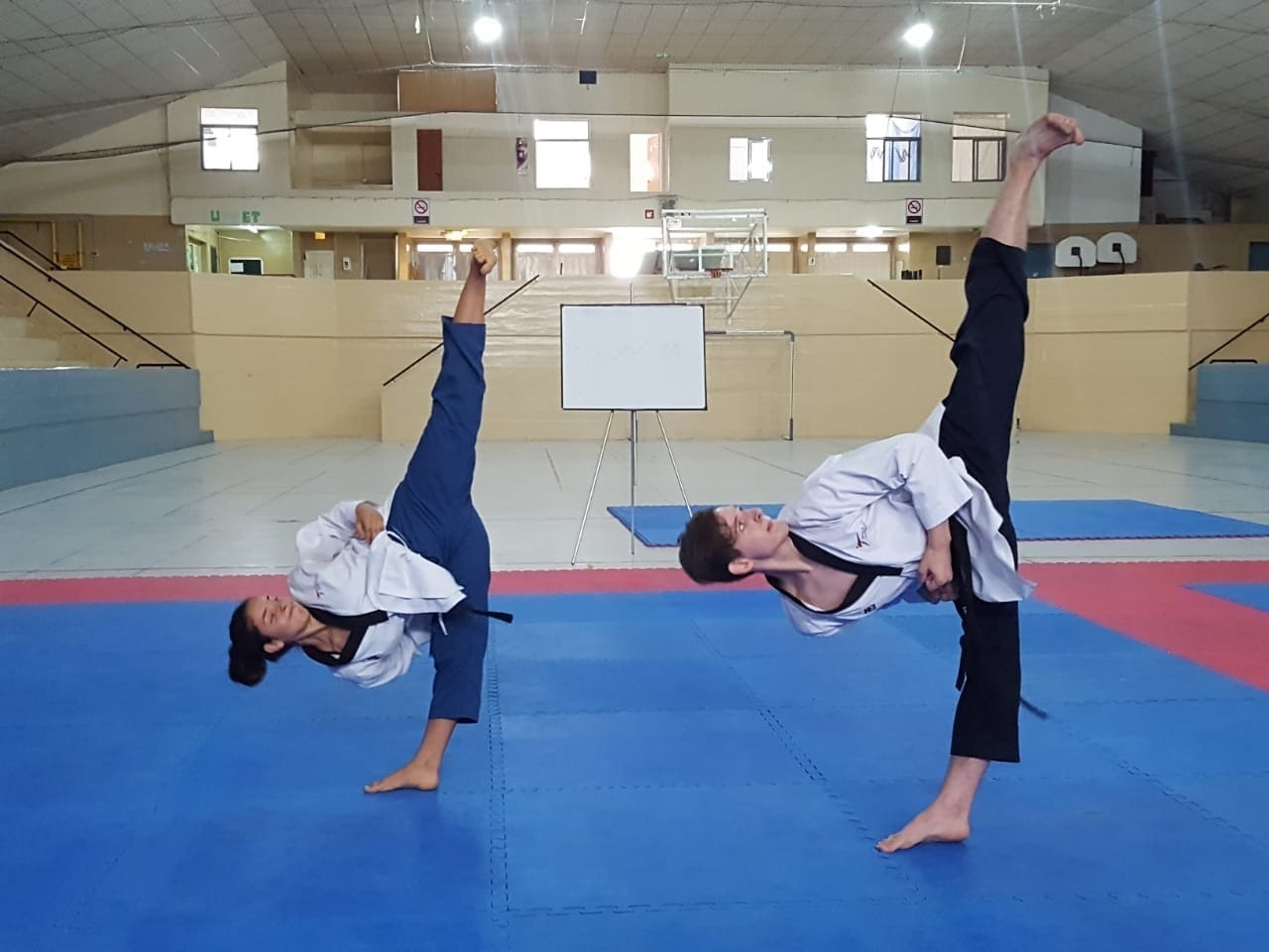 EL FIN DE SEMANA SE DISPUTA LA COPA CIUDAD DE PUERTO MADRYN DE TAEKWONDO