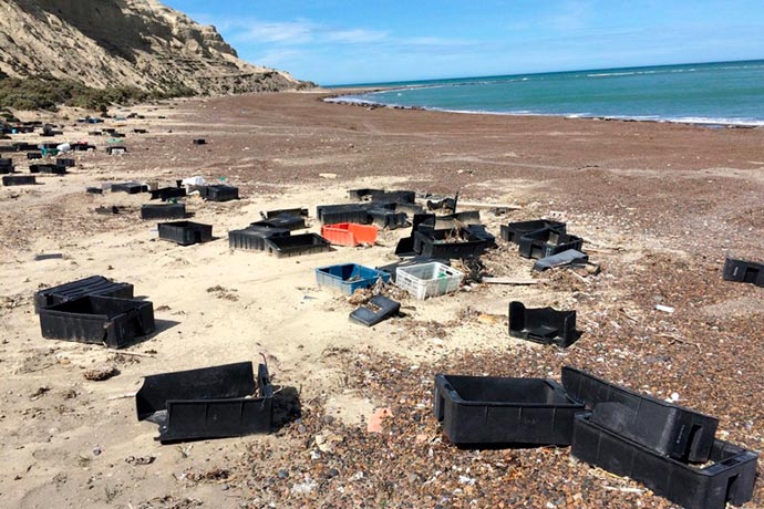 RESIDUOS PESQUEROS: BUSCAN REMEDIAR EL IMPACTO AMBIENTAL DE LA ACTIVIDAD