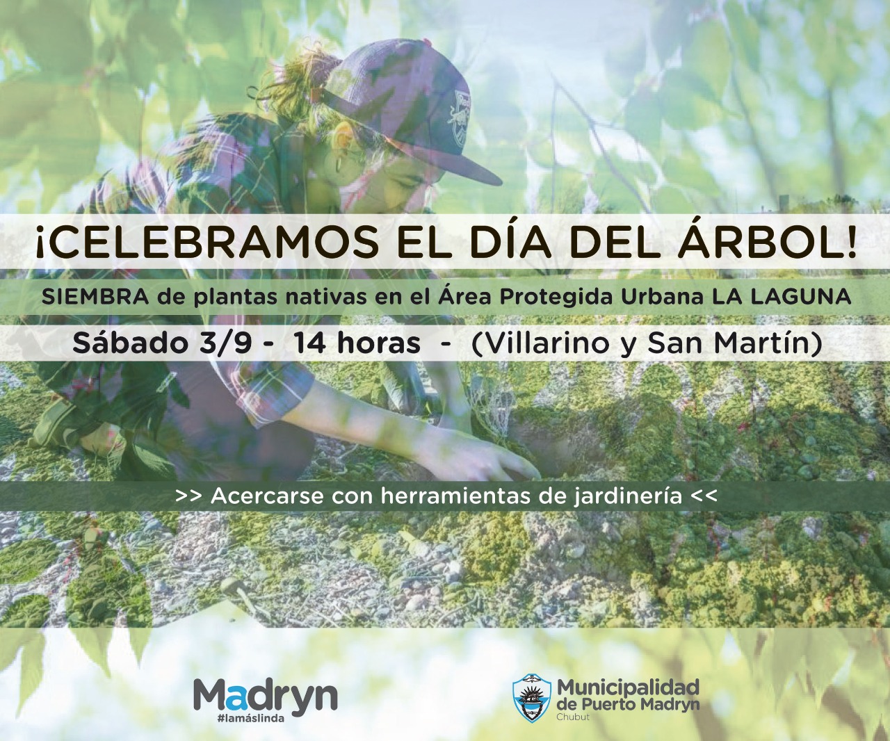 EL CLUB MUNICIPAL DE CIENCIAS Y TECNOLOGÍA CELEBRARÁ  EL DÍA DEL ÁRBOL