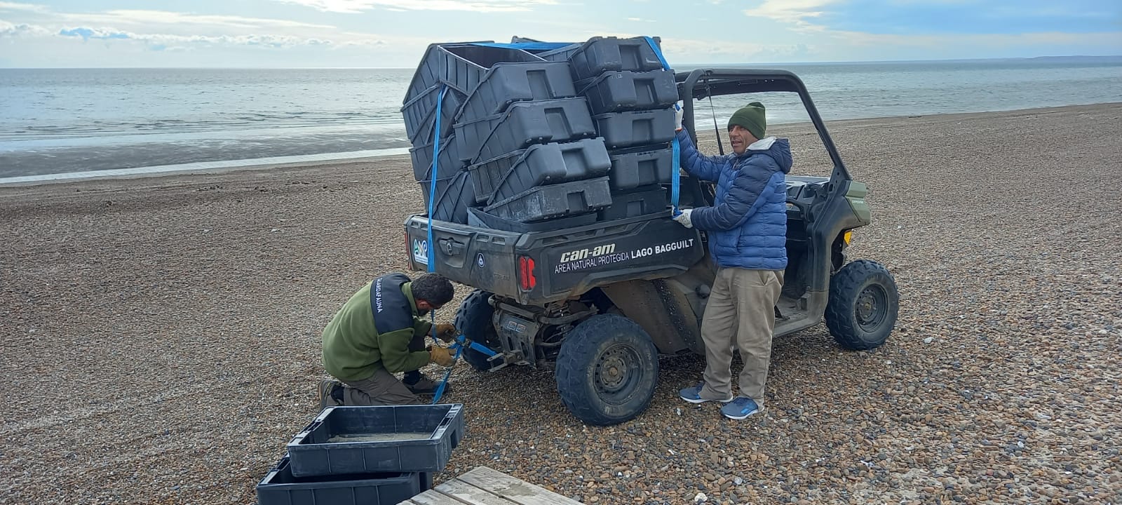SE REALIZÓ INTENSA JORNADA DE LIMPIEZA Y CENSO DE RESIDUOS EN PENÍNSULA VALDÉS