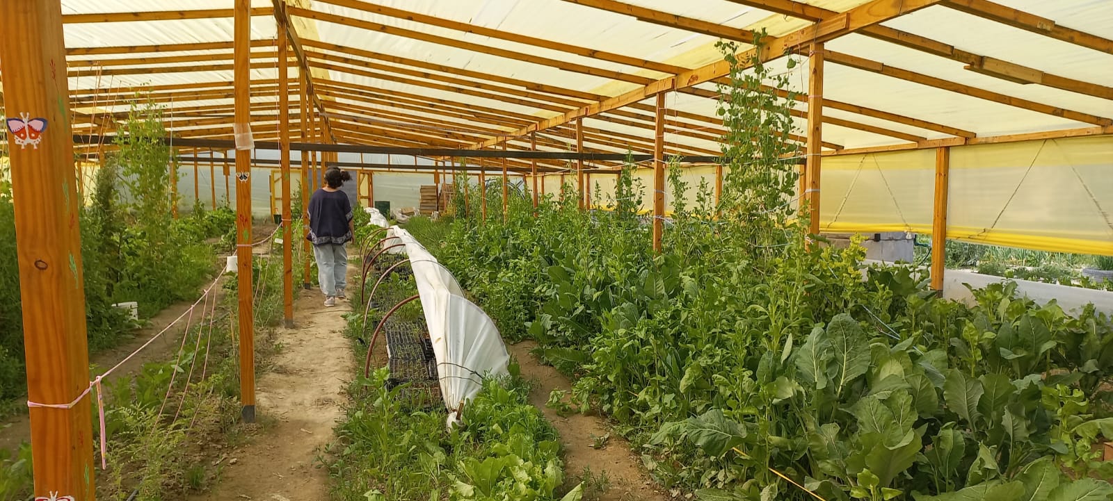 SE REALIZARÁ UNA FERIA AGROECOLÓGICA EN EL CEGEBA 2