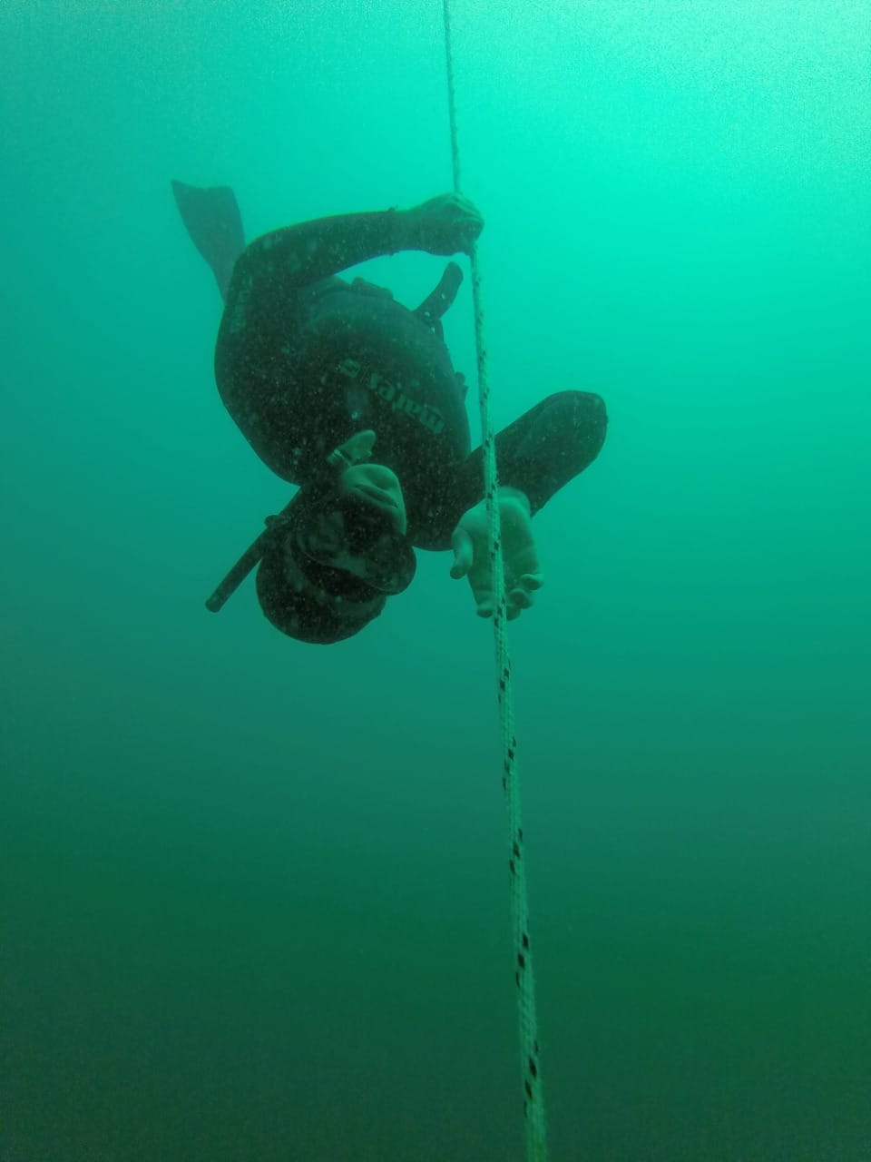 LA ESCUELA MUNICIPAL DE BUCEO “MALEVO MEDINA” COMPETIRÁ EN BAHÍA BLANCA