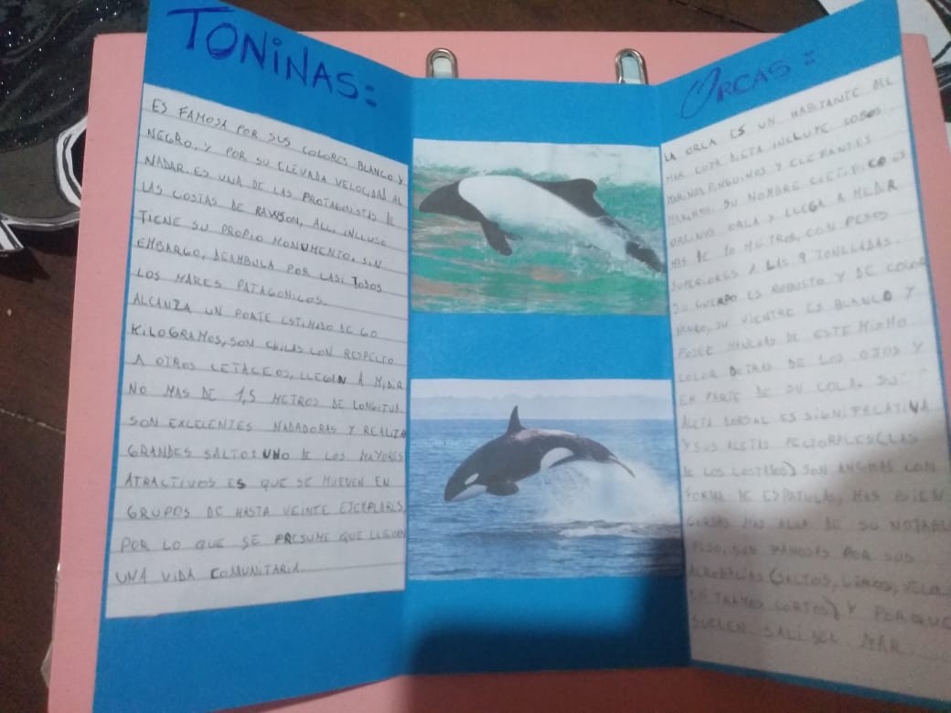 ESTUDIANTES DE LA ESCUELA MUNICIPAL 1 GANARON CONCURSO EDUCATIVO