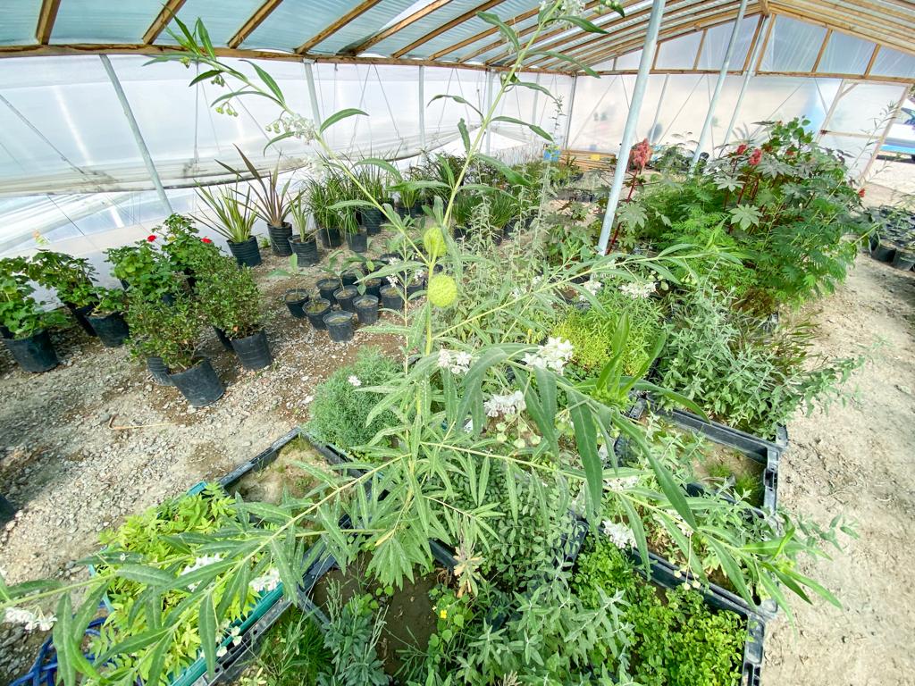 EL VIVERO MUNICIPAL ABRIRÁ SUS PUERTAS AL PÚBLICO