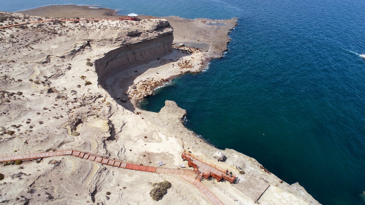 Chubut registró récord de visitas en la ANP Península Valdés y Punta Loma durante el 2022