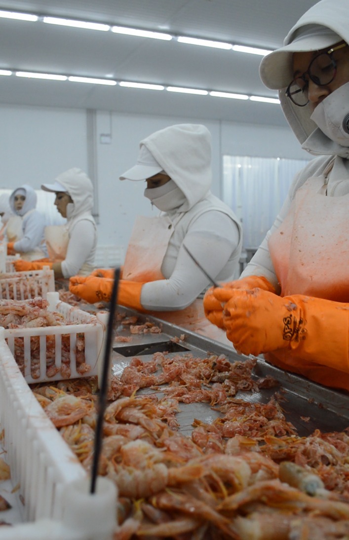 Pesqueras de Madryn exigen retrotraer el aumento de tarifas eléctricas por riesgo a miles de empleos