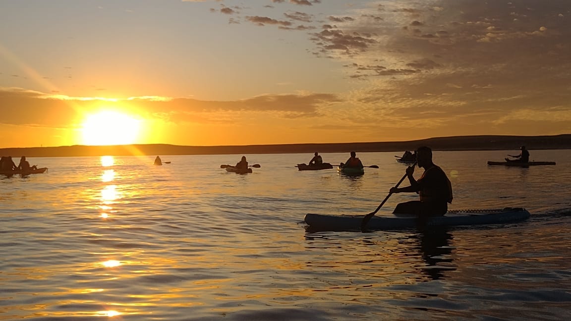 LLEGA UNA NUEVA EDICIÓN DEL ARENA FEST