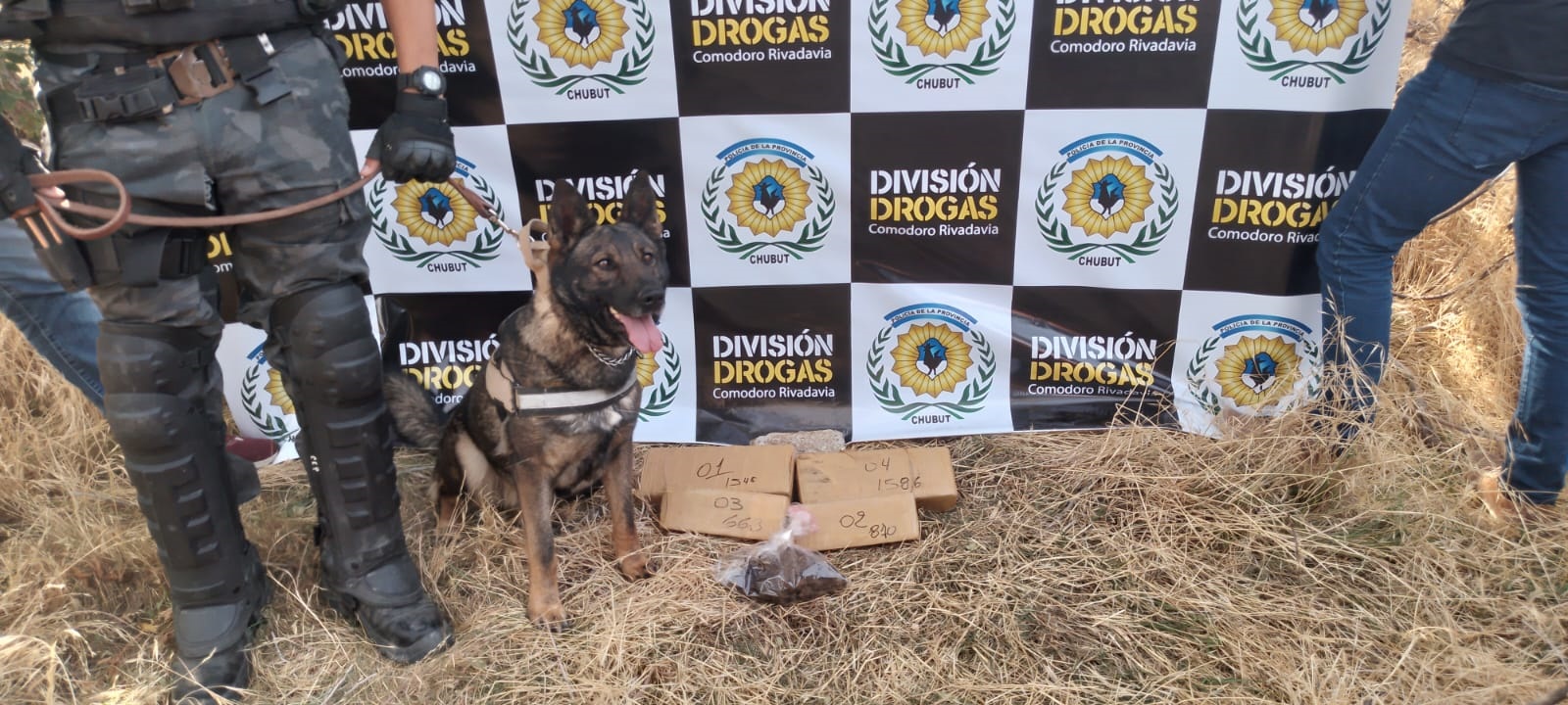 LA POLICÍA DEL CHUBUT SACÓ DE CIRCULACIÓN GRAN CANTIDAD DE MARIHUANA, DINERO, ARMAS, VEHÍCULOS Y CELULARES