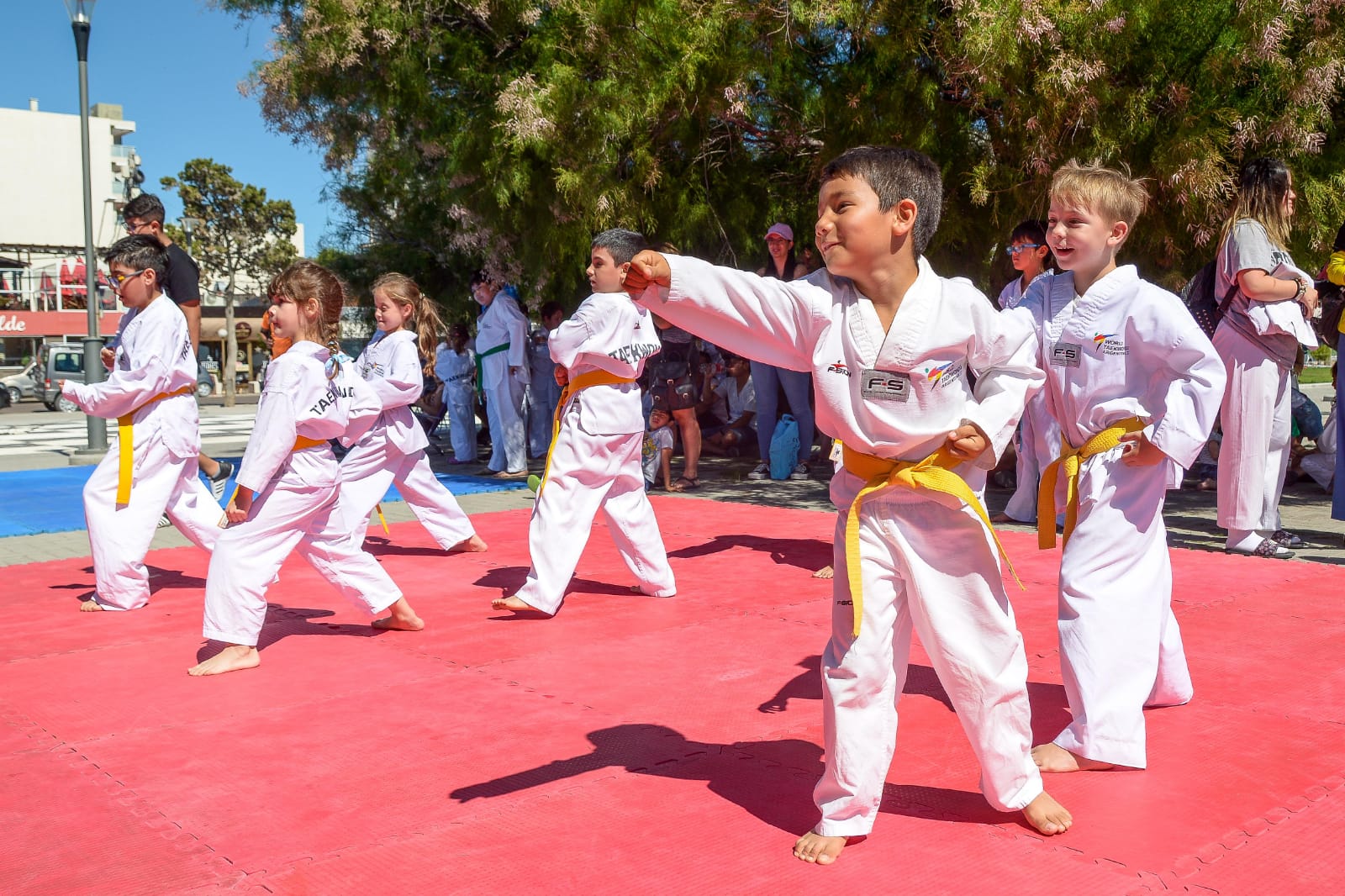 HABRÁ CAPACITACIONES DE DEPORTES OLÍMPICOS