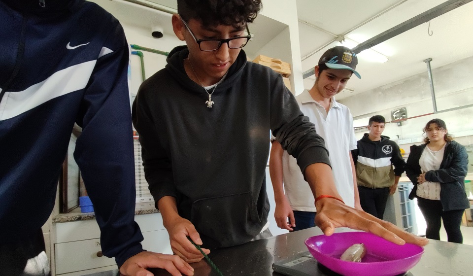 EL BIOTERIO ACUÁTICO DEL CENPAT Y LA ESCUELA DE PESCA TRABAJAN EN UN PROYECTO DE ACUAPONIA CON TRUCHAS ARCOÍRIS