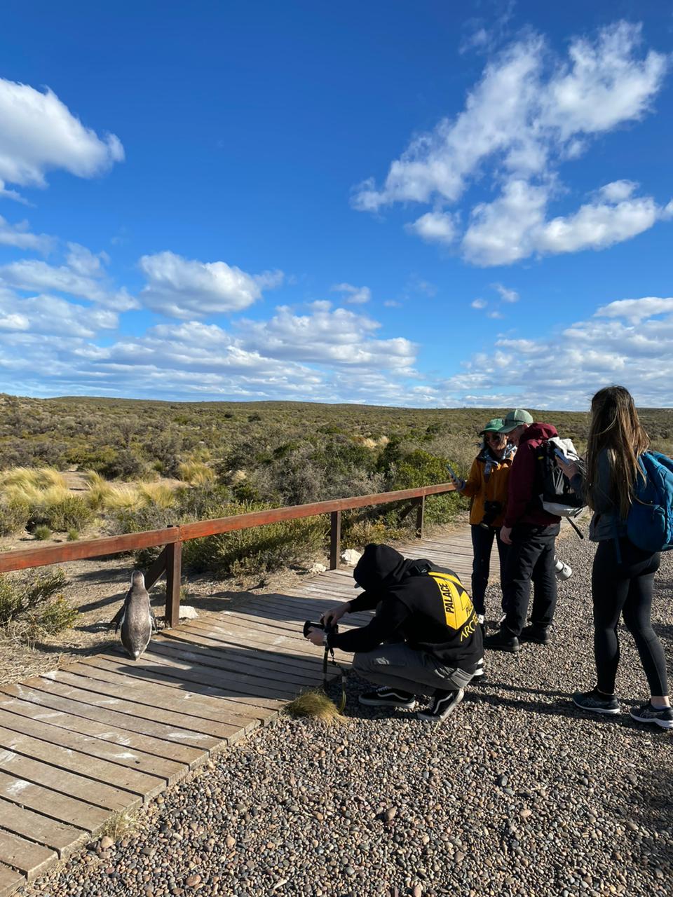 PUERTO MADRYN RECIBIÓ A SU PRIMER GRUPO DE NÓMADES DIGITALES