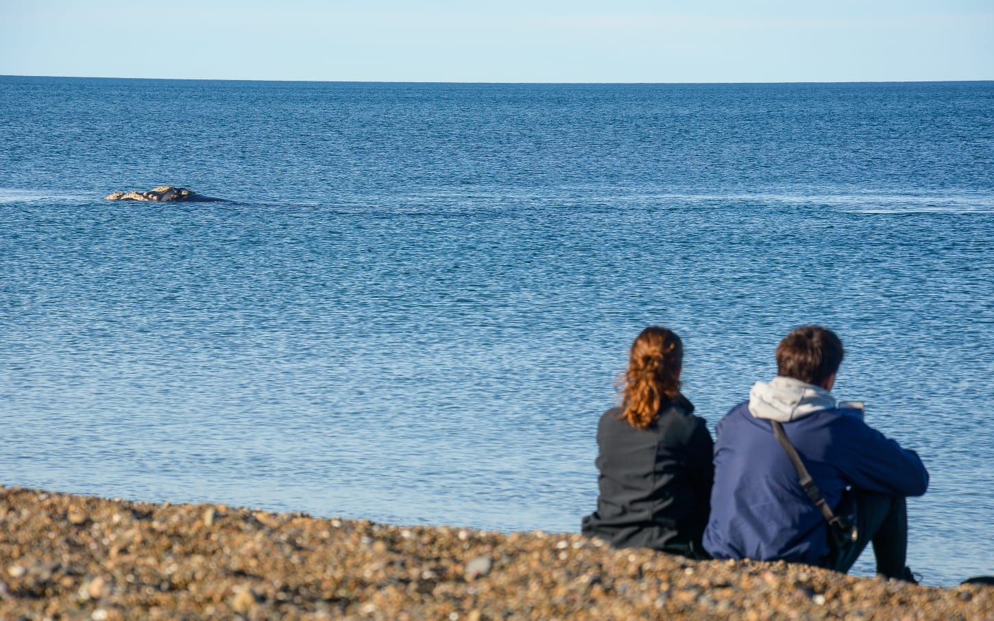ALTOS REGISTROS DE OCUPACIÓN DURANTE EL FIN DE SEMANA LARGO EN PUERTO MADRYN PESE A ESTAR EN TEMPORADA BAJA