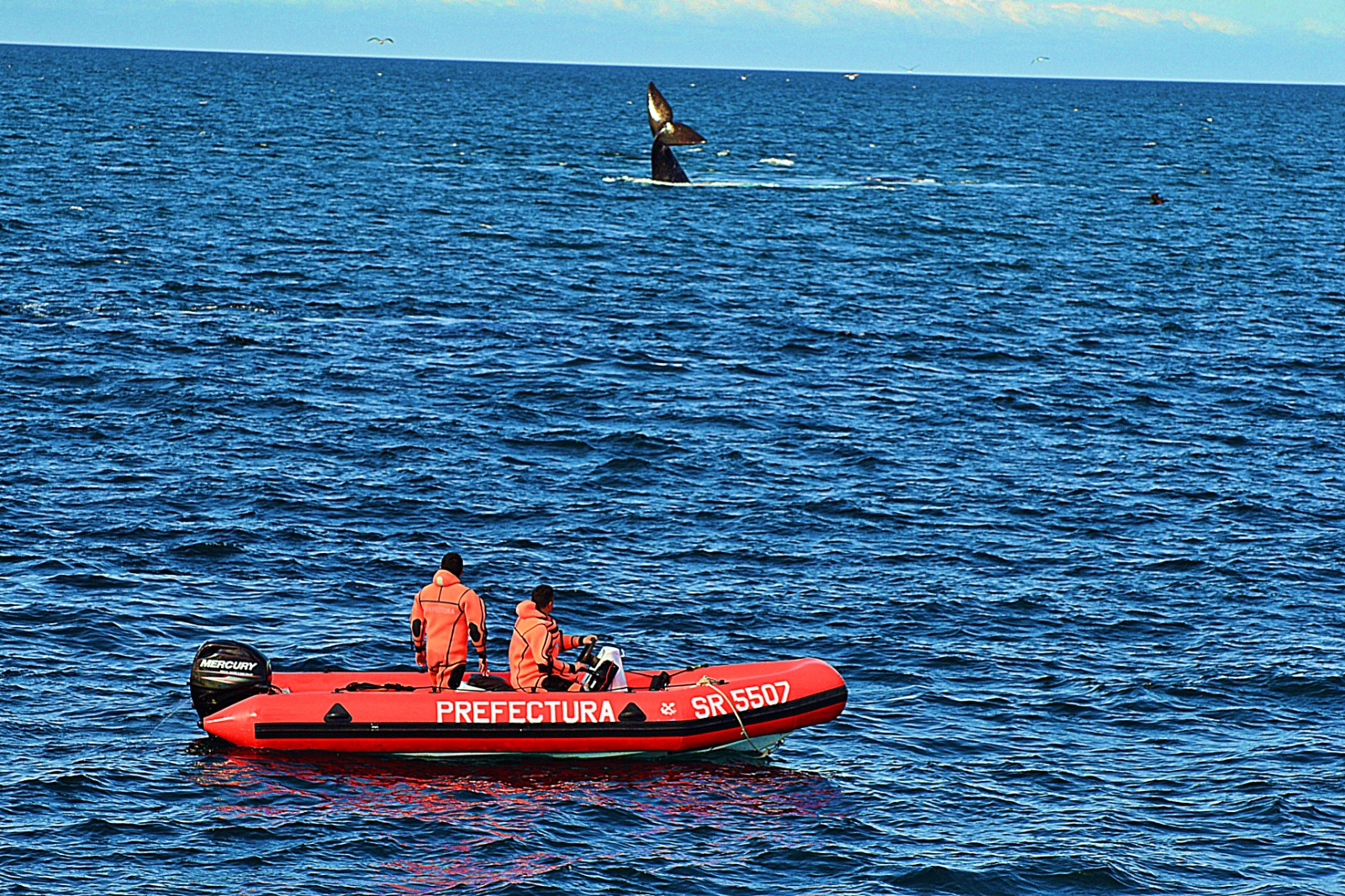 PREFECTURA RECUERDA MEDIDAS DE SEGURIDAD PARA NAVEGAR EN LAS AGUAS DEL GOLFO NUEVO