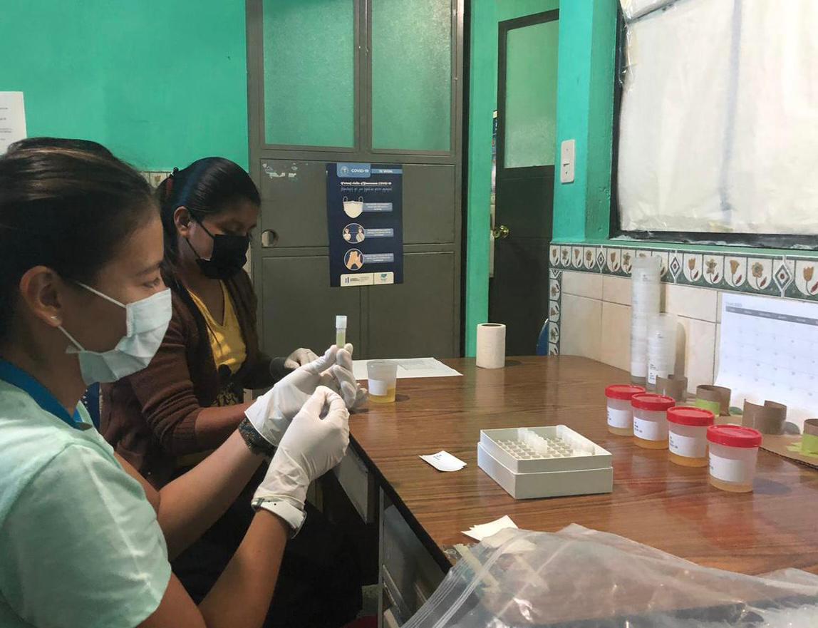 ESTUDIAN LOS EFECTOS DEL ESTRÉS EN EL RITMO DE MADURACIÓN REPRODUCTIVA Y FECUNDABILIDAD FEMENINA