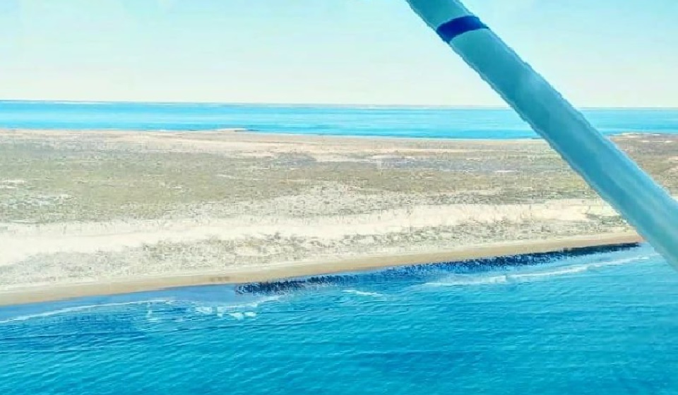 EL CENPAT REALIZÓ EL PRIMER CENSO AÉREO DE BALLENAS DE LA TEMPORADA