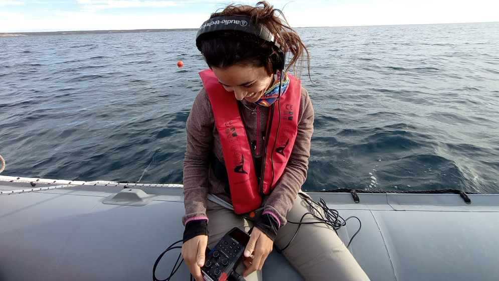 ESTUDIAN EL COMPORTAMIENTO ACÚSTICO DE LAS BALLENAS FRANCAS EN PENÍNSULA VALDÉS