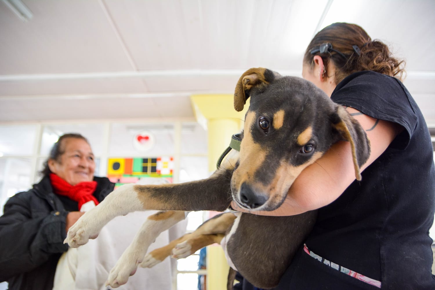 CAMPAÑA DE VACUNACIÓN Y DESPARASITACIÓN PARA PERROS Y GATOS