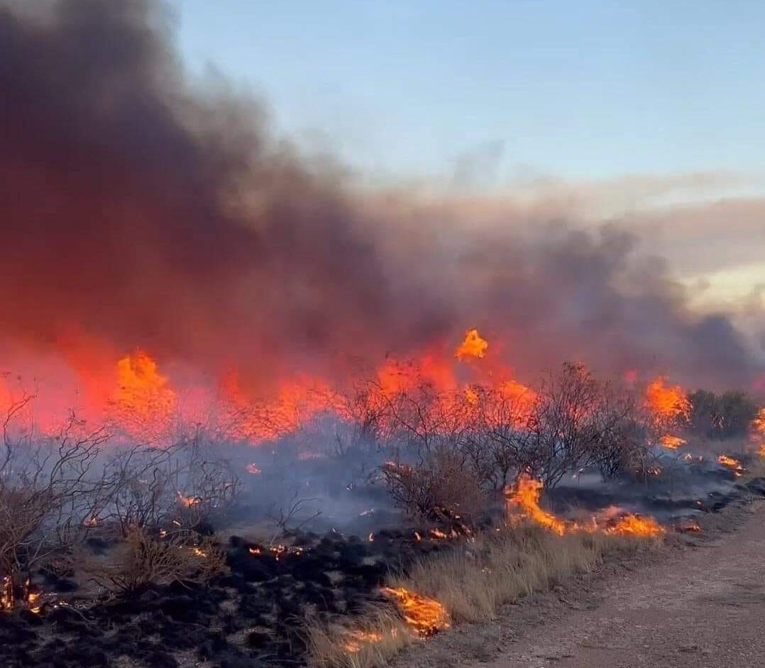 ÚLTIMO PARTE DE BOMBEROS MADRYN POR EL INCENDIO DE PUERTO LOBOS