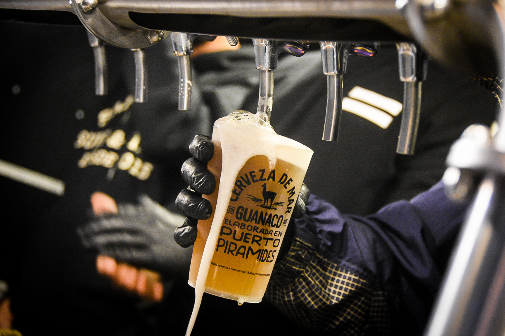 LLEGA UNA NUEVA EDICIÓN DE MADRYN COMESTIBLE