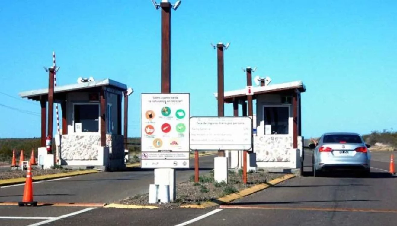 IMPORTANTE BAJA EN EL INGRESO DE TURISTAS A PENÍNSULA VALDÉS