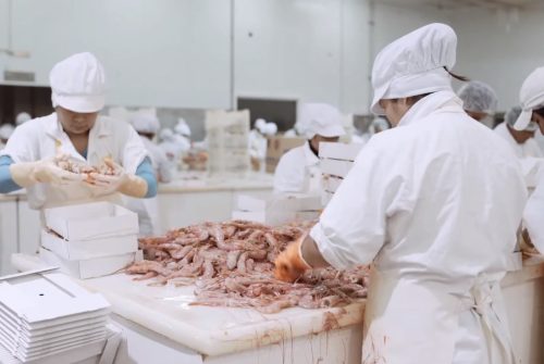Una pesquera abrió 100 vacantes en Madryn y recibió 1.400 CV