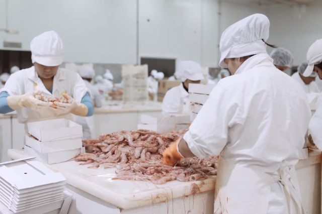 Una pesquera abrió 100 vacantes en Madryn y recibió 1.400 CV