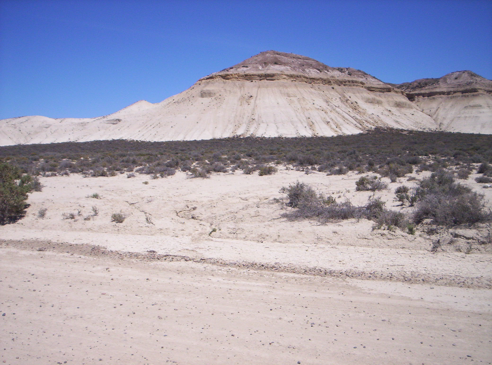MACABRO HALLAZGO: ENCUENTRAN DOS BOLSAS CON RESTOS HUMANOS EN CERRO AVANZADO