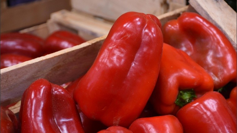 SIGUE FIRME LA BRECHA DE PRECIOS ENTRE EL PRODUCTOR Y EL CONSUMIDOR