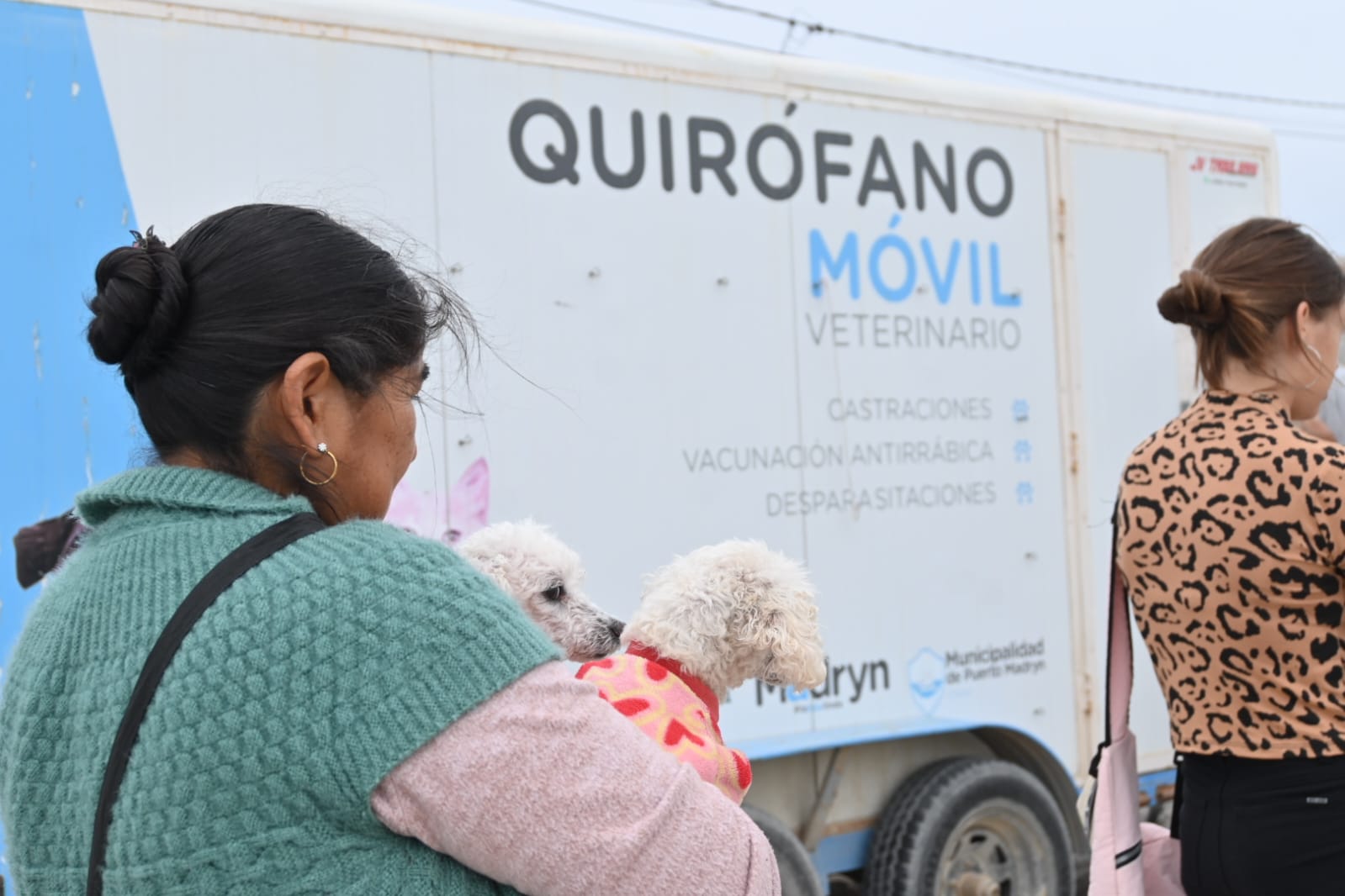 Continuamos promoviendo el cuidado responsable de animales con campañas gratuitas para perros y gatos