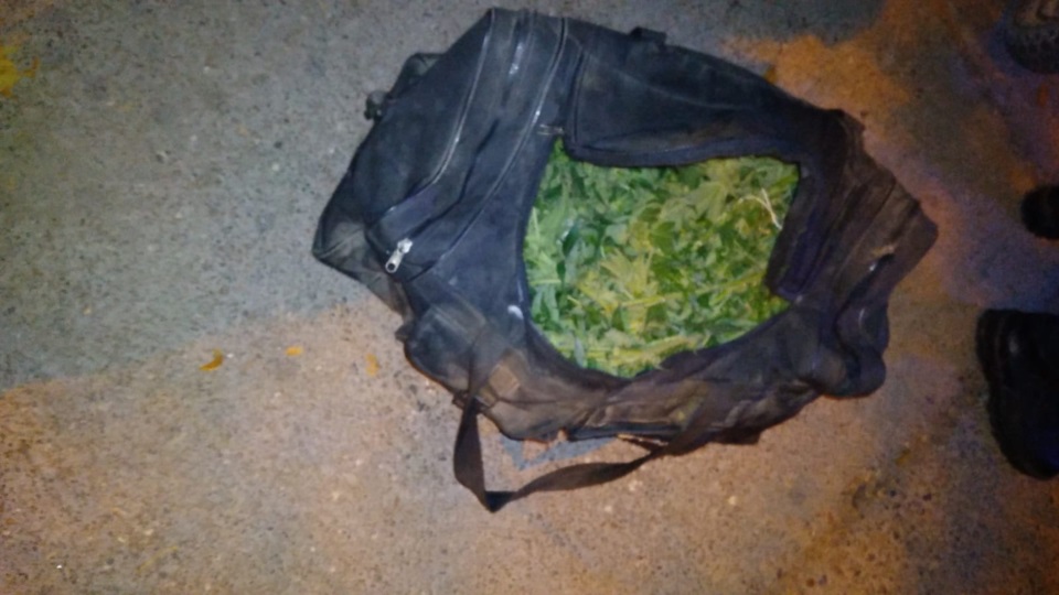 Llevaba 31 plantas de marihuana en un bolso