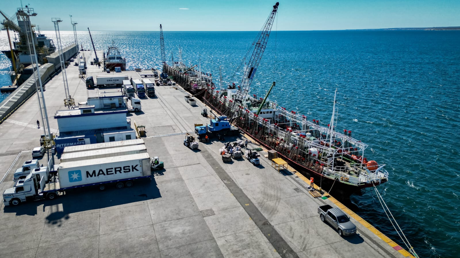 Los puertos de Chubut continúan con excelentes descargas pesqueras de calamar