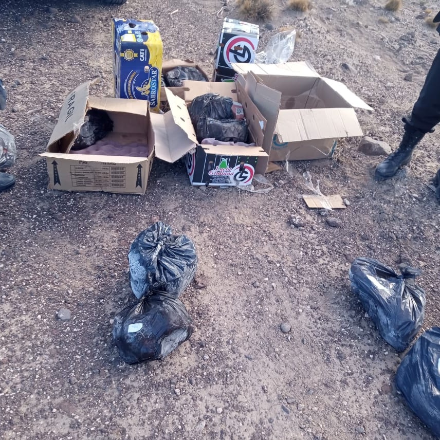 Decomisan 200 kilos de guanaco