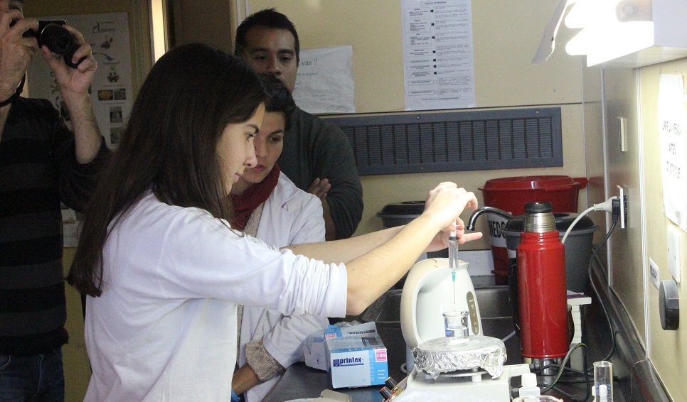Científicas del CENPAT dictarán talleres de nanotecnología en Trelew y Puerto Madryn